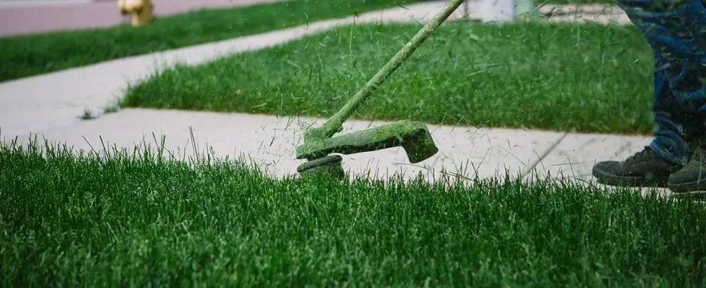 Commercial and Residential Lawn Care Services