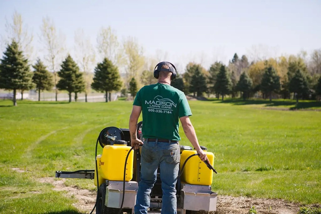 Lawn Fertilizer and Weed Control