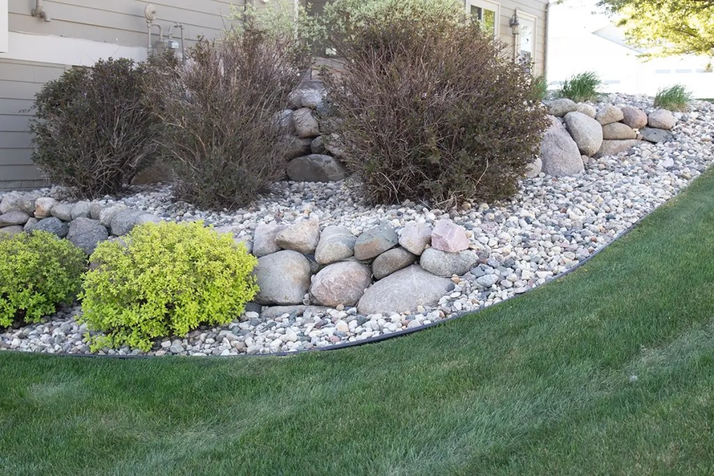 Deep Tree Root Fertilization