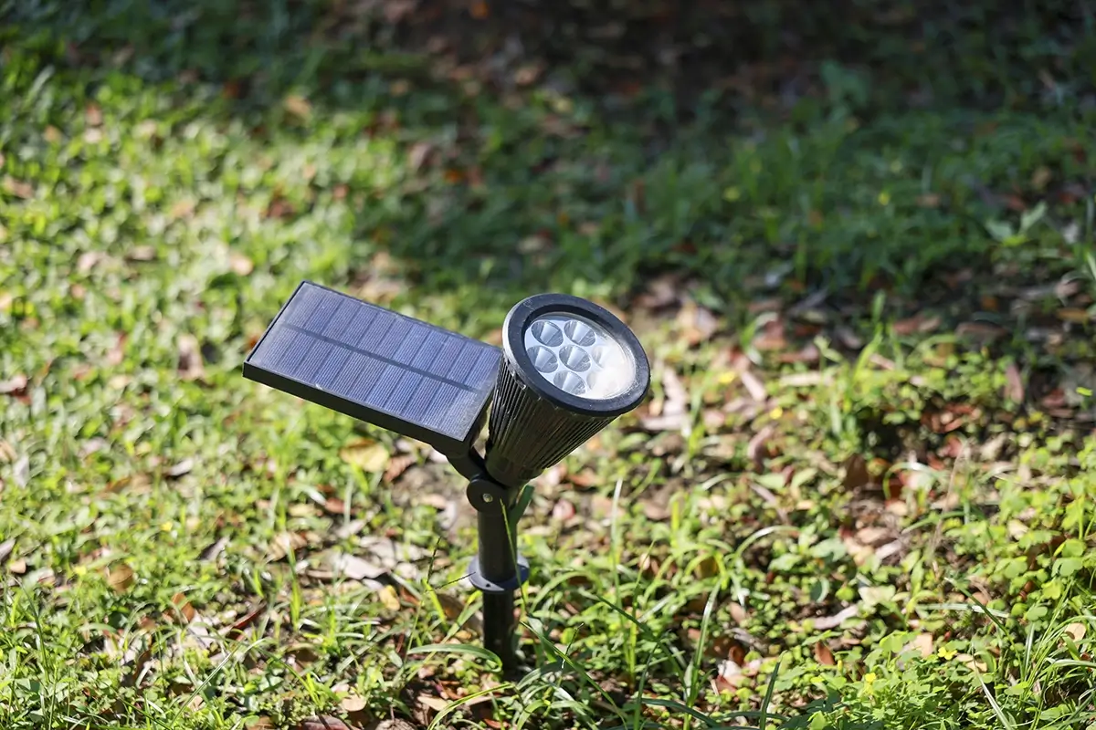 Professional Permanent Lighting Services
