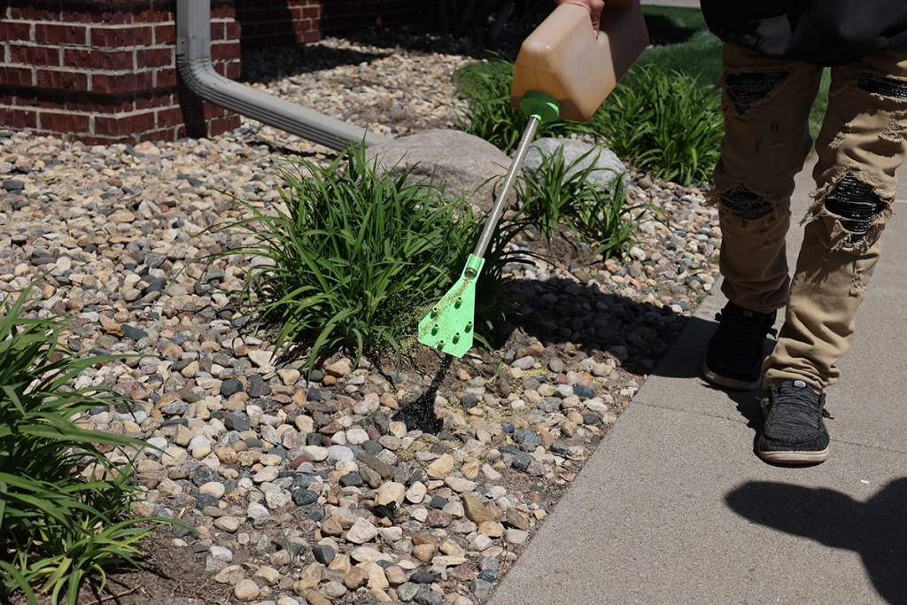 Rock Bed Weed Control